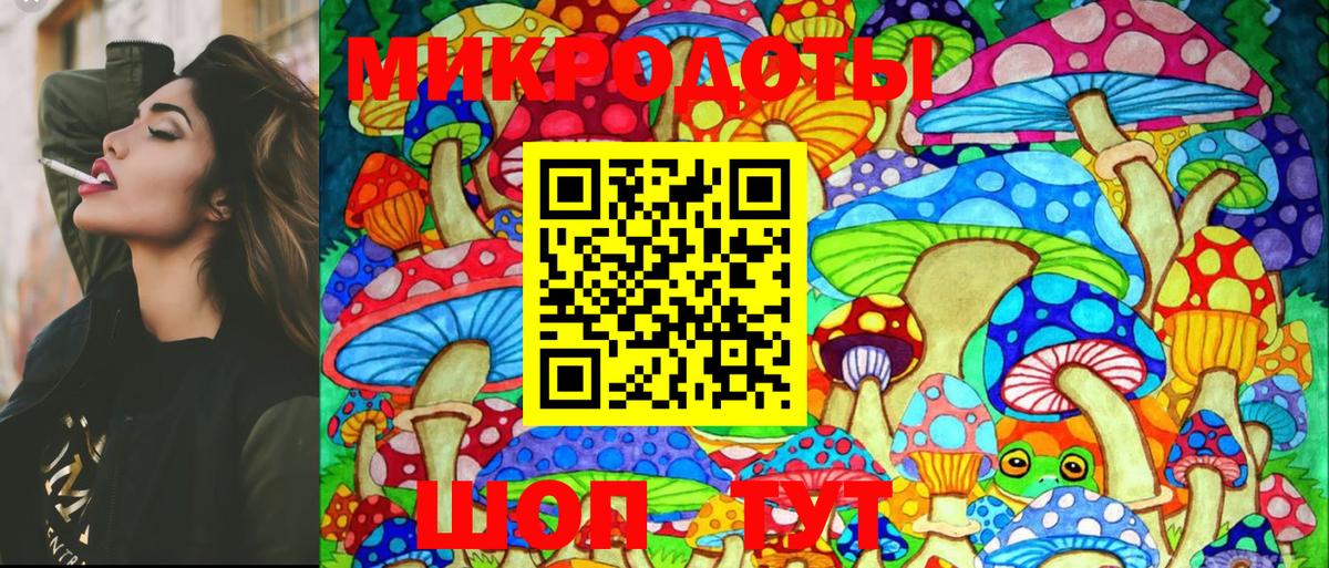Псилоцибиновые грибы Cubensis Кумертау