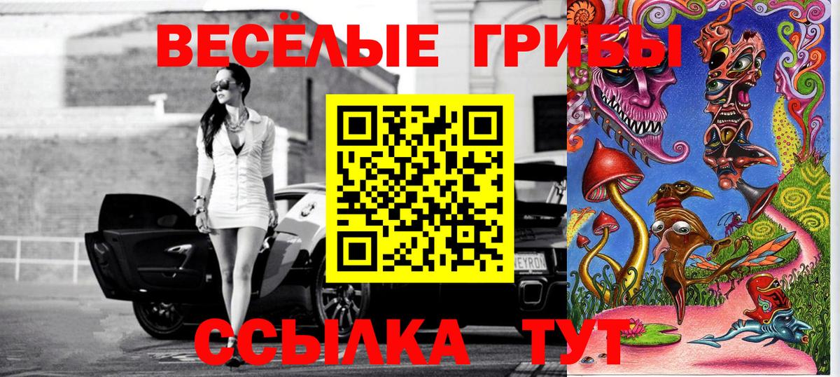 Галлюциногенные грибы Psilocybe  Вход с VPN  Псилоцибиновые грибы Cubensis  Кумертау 